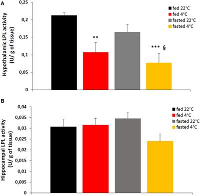 Lipoprotein Lipase Expression in Hypothalamus Is Involved in the Central Regulation of Thermogenesis and the Response to Cold Exposure